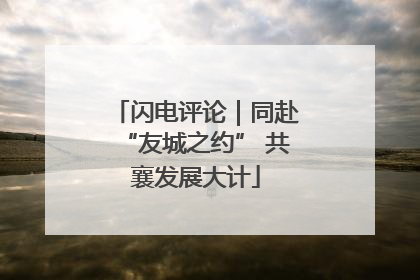 闪电评论｜同赴“友城之约” 共襄发展大计