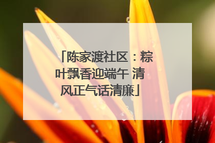 陈家渡社区：粽叶飘香迎端午 清风正气话清廉