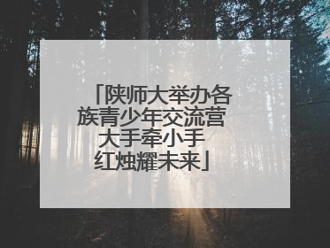 陕师大举办各族青少年交流营 大手牵小手 红烛耀未来