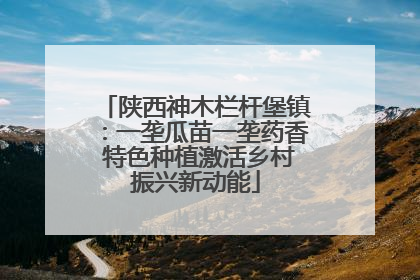陕西神木栏杆堡镇：一垄瓜苗一垄药香 特色种植激活乡村振兴新动能