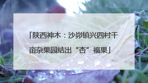 陕西神木：沙峁镇兴四村千亩杂果园结出“杏”福果