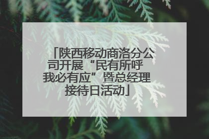 陕西移动商洛分公司开展“民有所呼 我必有应”暨总经理接待日活动