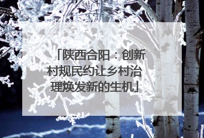 陕西合阳：创新村规民约让乡村治理焕发新的生机