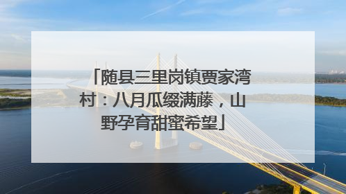 随县三里岗镇贾家湾村：八月瓜缀满藤，山野孕育甜蜜希望