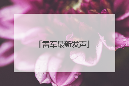 雷军最新发声