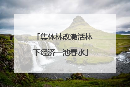 集体林改激活林下经济一池春水