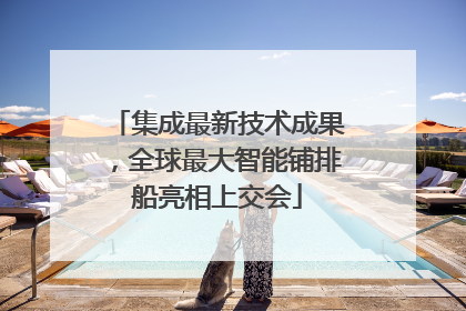 集成最新技术成果，全球最大智能铺排船亮相上交会