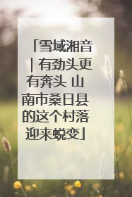 雪域湘音｜有劲头更有奔头 山南市桑日县的这个村落迎来蜕变