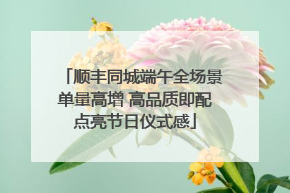 顺丰同城端午全场景单量高增 高品质即配点亮节日仪式感