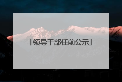 领导干部任前公示