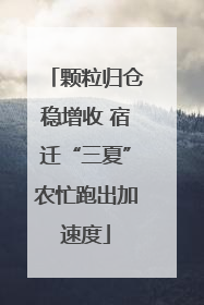 颗粒归仓稳增收 宿迁“三夏”农忙跑出加速度