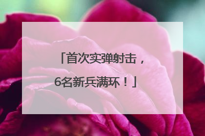 首次实弹射击，6名新兵满环！