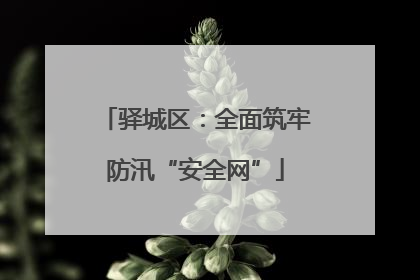 驿城区：全面筑牢防汛“安全网”