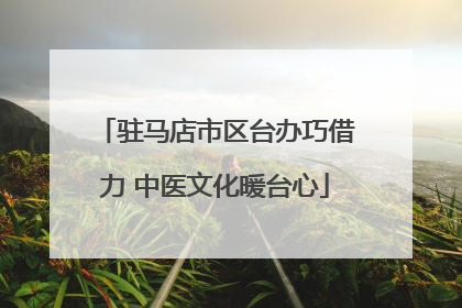 驻马店市区台办巧借力 中医文化暖台心