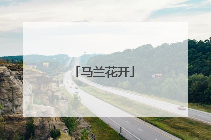 马兰花开