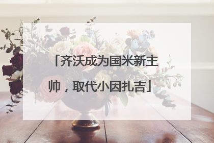 齐沃成为国米新主帅，取代小因扎吉