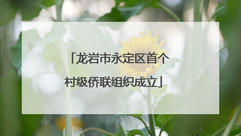 龙岩市永定区首个村级侨联组织成立