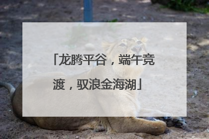 龙腾平谷，端午竞渡，驭浪金海湖