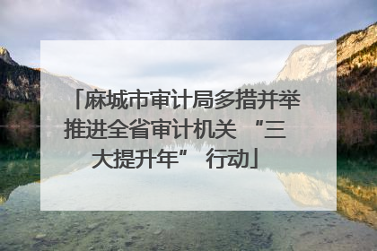 麻城市审计局多措并举推进全省审计机关 “三大提升年” 行动