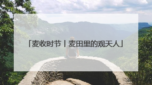 麦收时节丨麦田里的观天人