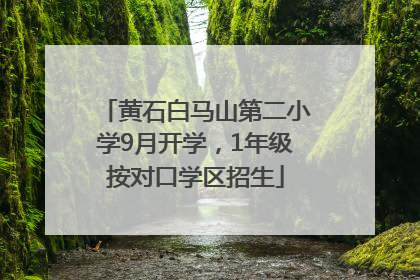 黄石白马山第二小学9月开学，1年级按对口学区招生