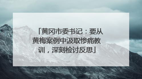 黄冈市委书记：要从黄梅案例中汲取惨痛教训，深刻检讨反思
