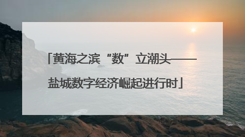 黄海之滨“数”立潮头——盐城数字经济崛起进行时
