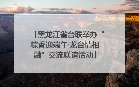 黑龙江省台联举办“粽香迎端午·龙台情相融”交流联谊活动