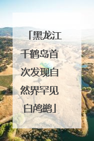 黑龙江千鹤岛首次发现自然界罕见白鸬鹚