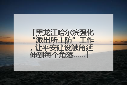 黑龙江哈尔滨强化“派出所主防”工作，让平安建设触角延伸到每个角落……