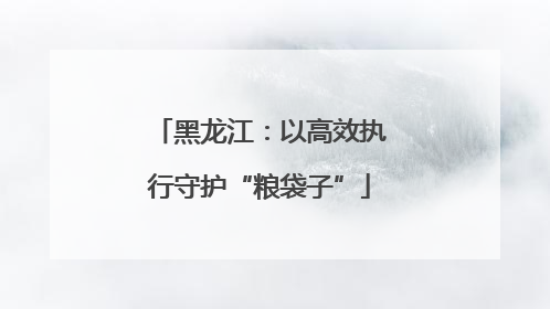 黑龙江：以高效执行守护“粮袋子”