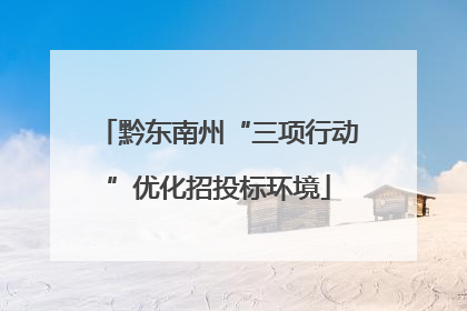 黔东南州“三项行动”优化招投标环境