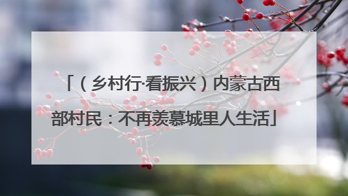 （乡村行·看振兴）内蒙古西部村民：不再羡慕城里人生活