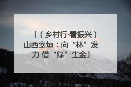 （乡村行·看振兴）山西襄垣：向“林”发力 借“绿”生金