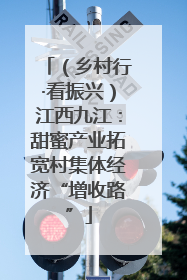 （乡村行·看振兴）江西九江：甜蜜产业拓宽村集体经济“增收路”