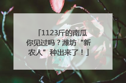 1123斤的南瓜你见过吗？潍坊“新农人”种出来了！