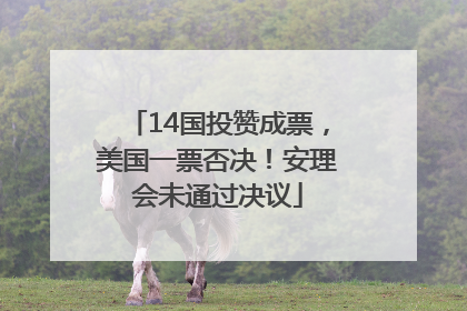 14国投赞成票，美国一票否决！安理会未通过决议