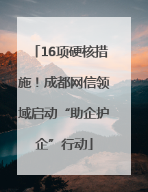 16项硬核措施！成都网信领域启动“助企护企”行动