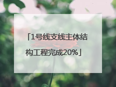 1号线支线主体结构工程完成20%
