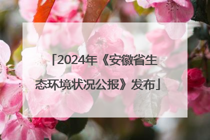 2024年《安徽省生态环境状况公报》发布