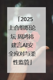 2025上合组织论坛 周鸿祎建言AI安全应对与柔性监管