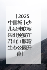 2025中国城市少儿足球联赛岳阳预赛在君山江豚湾生态公园开幕