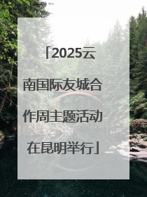 2025云南国际友城合作周主题活动在昆明举行