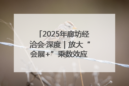 2025年廊坊经洽会·深度｜放大“会展+”乘数效应 打造消费新场景