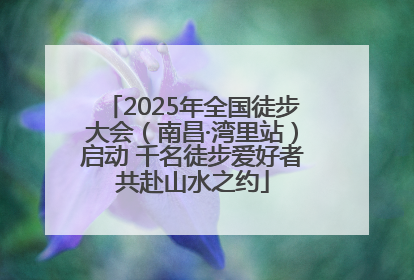 2025年全国徒步大会（南昌·湾里站）启动 千名徒步爱好者共赴山水之约