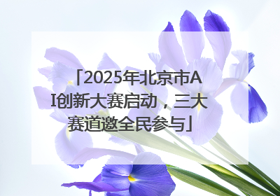 2025年北京市AI创新大赛启动，三大赛道邀全民参与