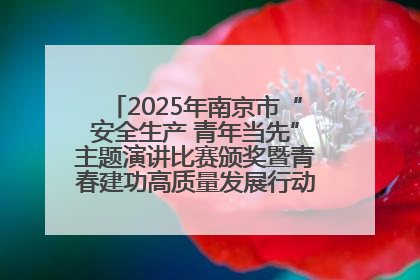 2025年南京市“安全生产 青年当先”主题演讲比赛颁奖暨青春建功高质量发展行动出征仪式举行