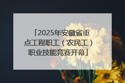 2025年安徽省重点工程职工（农民工）职业技能竞赛开幕