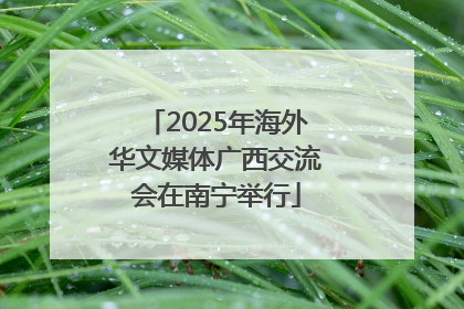 2025年海外华文媒体广西交流会在南宁举行
