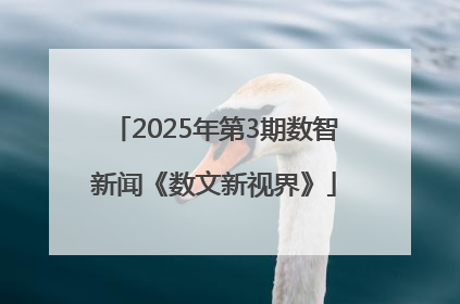 2025年第3期数智新闻《数文新视界》